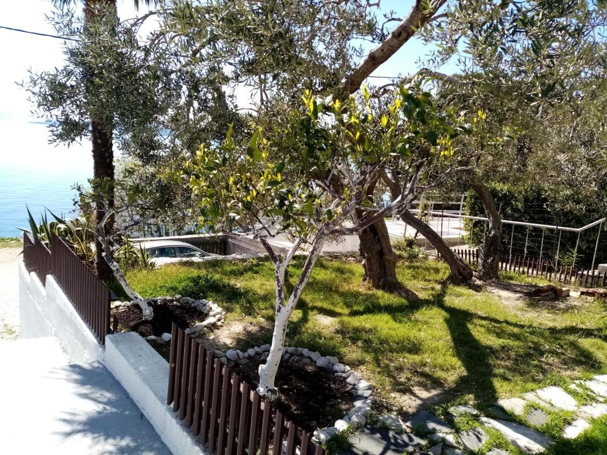 Apartment Hortenzija บาชกาโวดา ภายนอก รูปภาพ